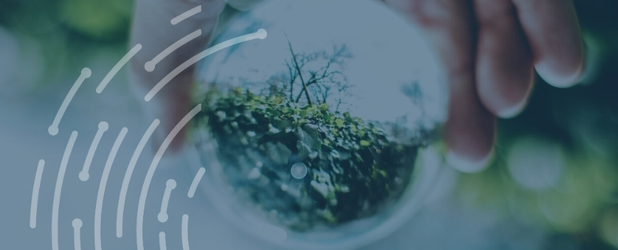 Green Finance Green Bonds and Renewables