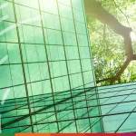 Navigating the Sustainability Commitment Paradox - SC Featured