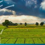 IFC launches $4bn MSME finance platform for emerging markets